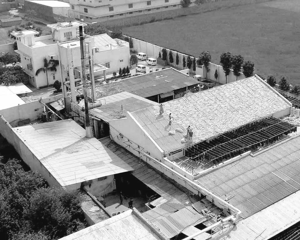 Ramsha Carpets company team and facility showcasing innovation and craftsmanship in rug and carpet manufacturing