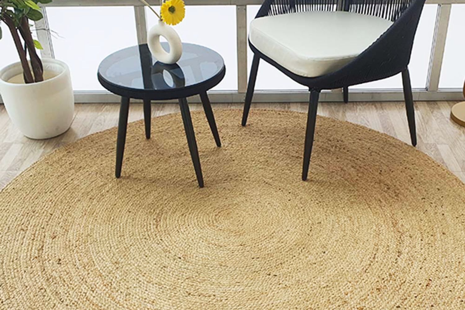 carpet maintenance guide showing vacuum cleaning and rug care process